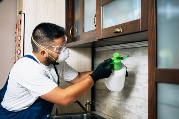 Best Pest Control Near Me  in Tres Arroyos, NM