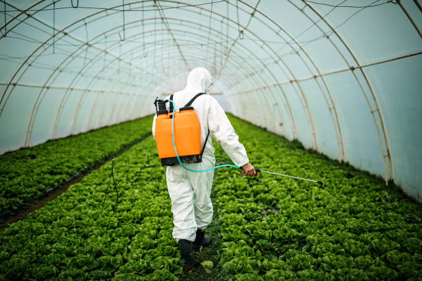 Best Ant Control Services  in Tres Arroyos, NM