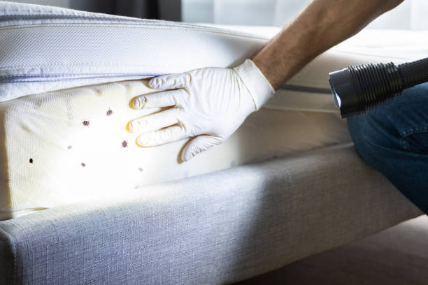Best Best Pest Control Companies  in Tres Arroyos, NM