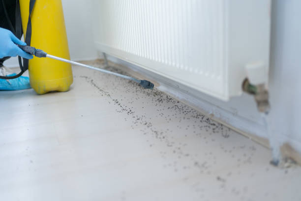 Best Pest Inspection Near Me  in Tres Arroyos, NM