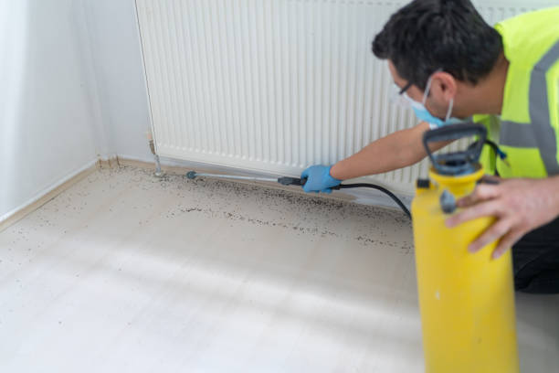 Best Cockroach Control Services  in Tres Arroyos, NM