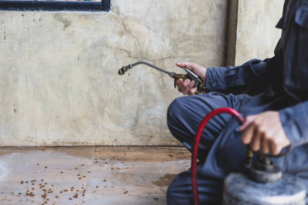Best Mosquito Control Services  in Tres Arroyos, NM